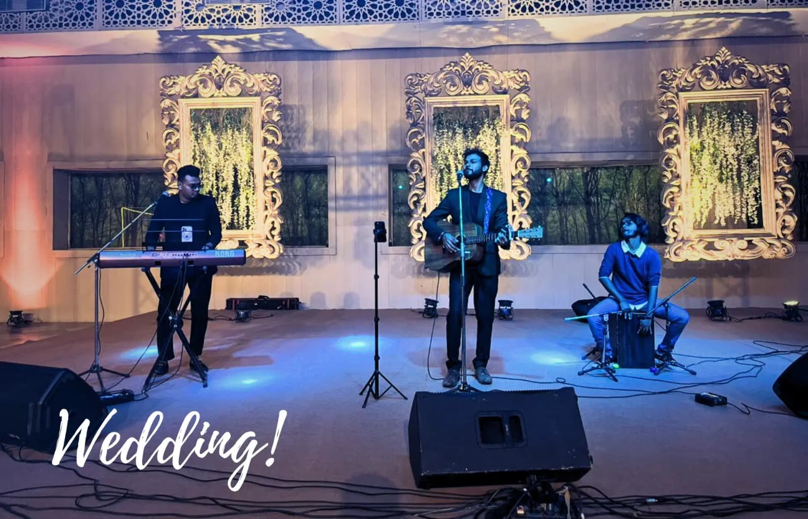 Kannada singer performing live at cultural event Bangalore